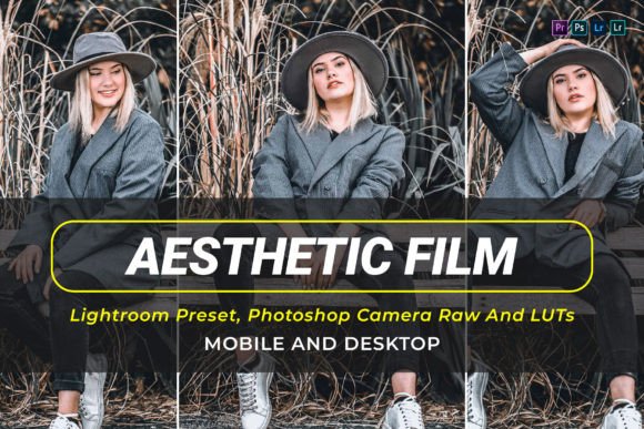 Download 10 Aesthetic Film Presets and Luts - Presets Collection