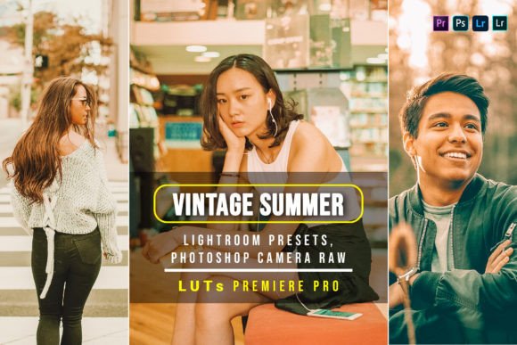 Download 10 Vintage Summer Presets and Luts - Presets Collection