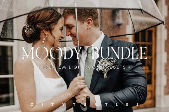 Download MOODY BUNDLE Portrait Lightroom Presets - Presets Collection