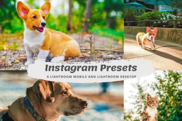 Download Influencer Lightroom Instagram Presets - Presets Collection
