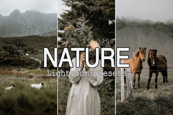 Download 9 Moody Nature Lightroom Presets - Presets Collection