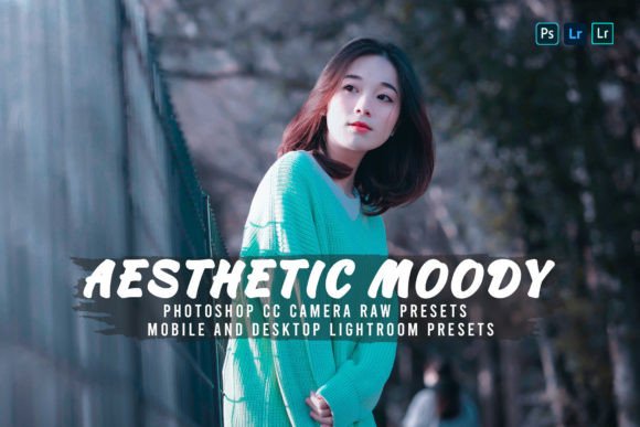 Download 10 Aesthetic Moody Presets - Presets Collection