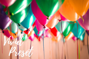 Download Lightroom Presets - Vivid Bundle - Presets Collection