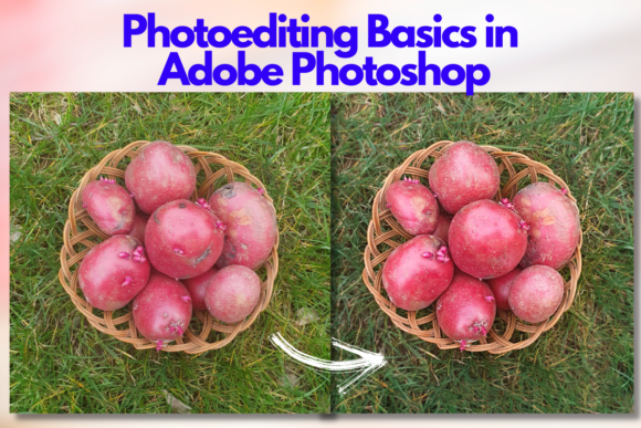 Download Photo Editing Basics in Adobe Photoshop - Photo editing Collection