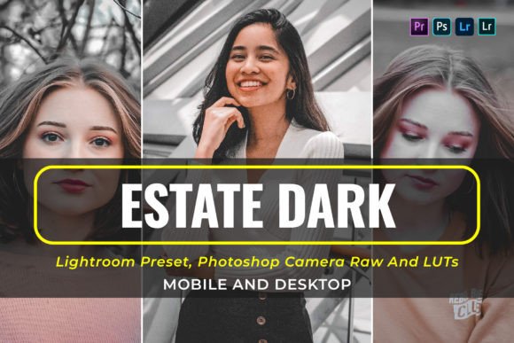 Download 10 Estate Dark Presets and Luts - Presets Collection