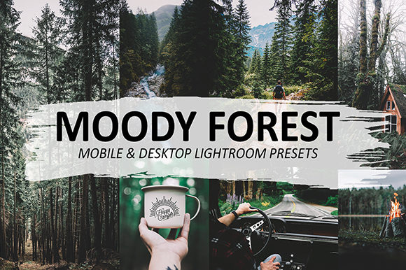 Download Moody Forest Lightroom Presets - Presets Collection