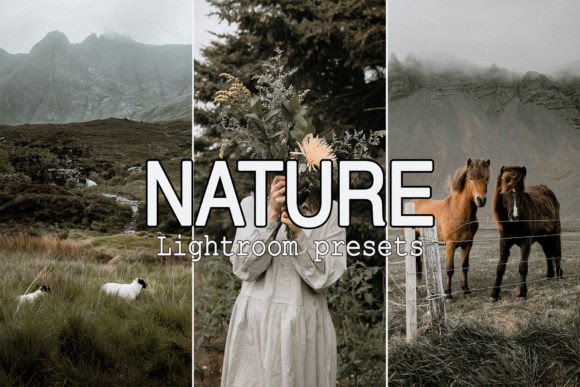 Download 9 Nature Mobile Lightroom Presets - Presets Collection