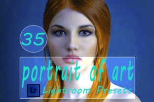 Download Portrait of Art Lightroom Presets - Presets Collection