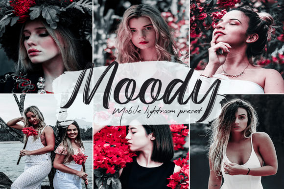 Download Moody Lightroom Presets - Presets Collection
